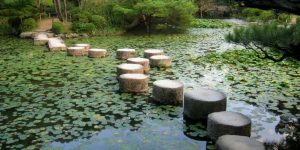 person meditating in a serene natural setting